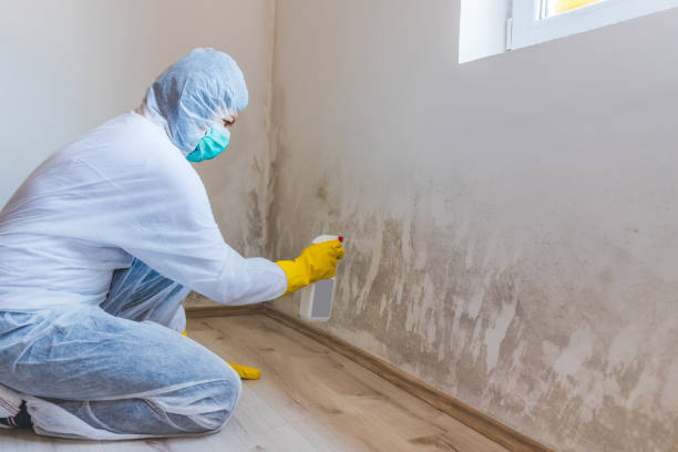 Mold Remediation specialist working in Waltham